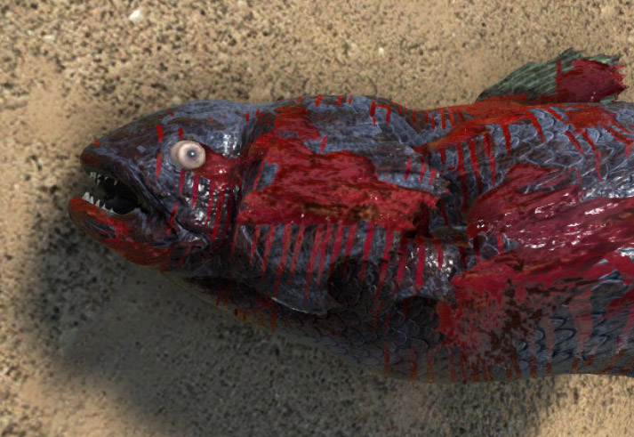 File:Coelacanth dead.jpg