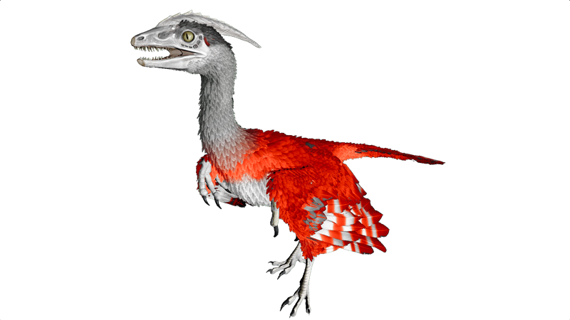 File:Microraptor PaintRegion0.png