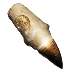 File:Alpha Mosasaur Tooth.png