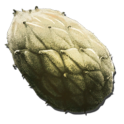 File:Plant Species Z Seed.png