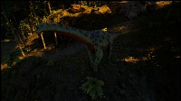 Camarasaurus.jpg