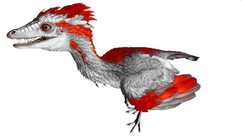 File:Archaeopteryx PaintRegion4.png