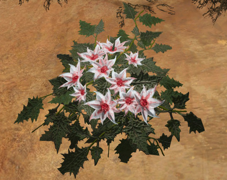 File:White Flower Silk (Scorched Earth).png