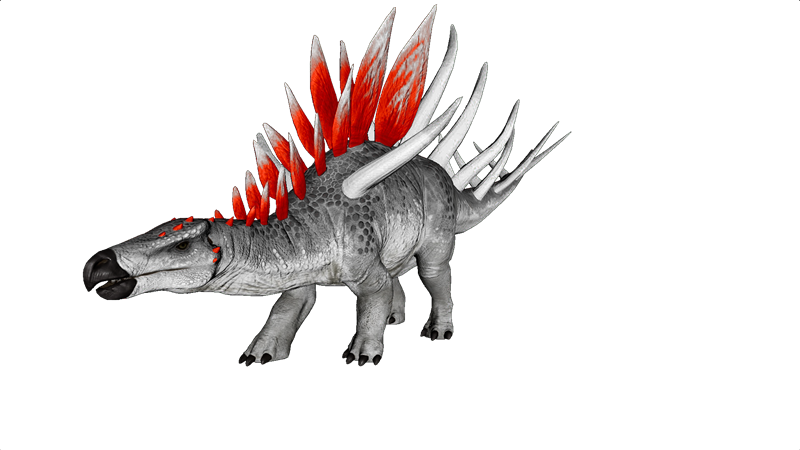 File:Kentrosaurus PaintRegion1.png