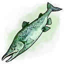 Old Smelly Fish Skin (Mobile).png