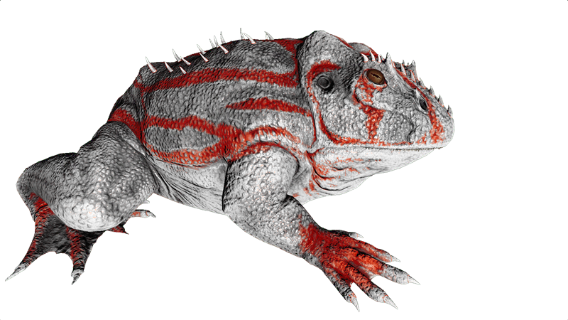 File:Beelzebufo PaintRegion4.png