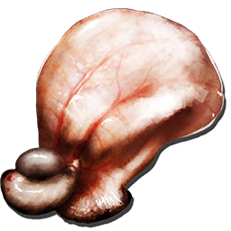 File:Gasbags bladder.png