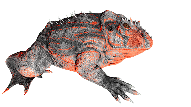File:Beelzebufo PaintRegion5.png