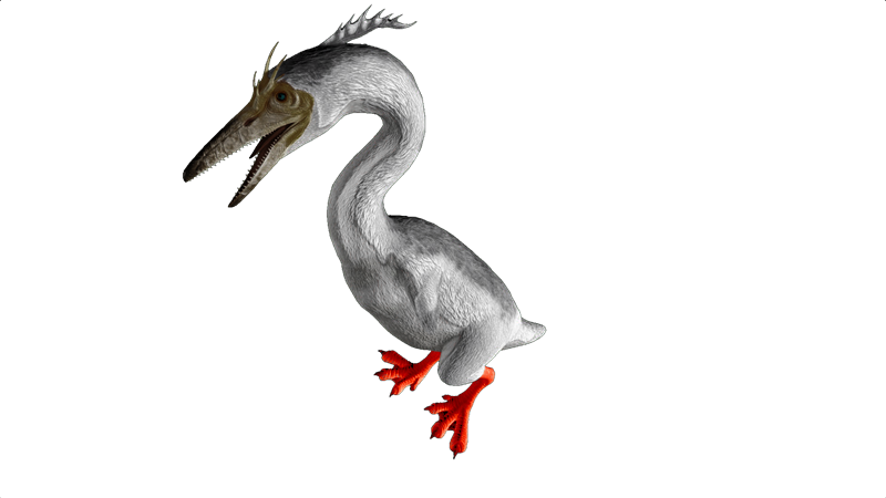 File:Hesperornis PaintRegion2.png