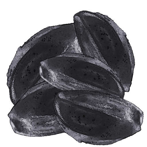 File:Mobile Aconitum Seeds.png
