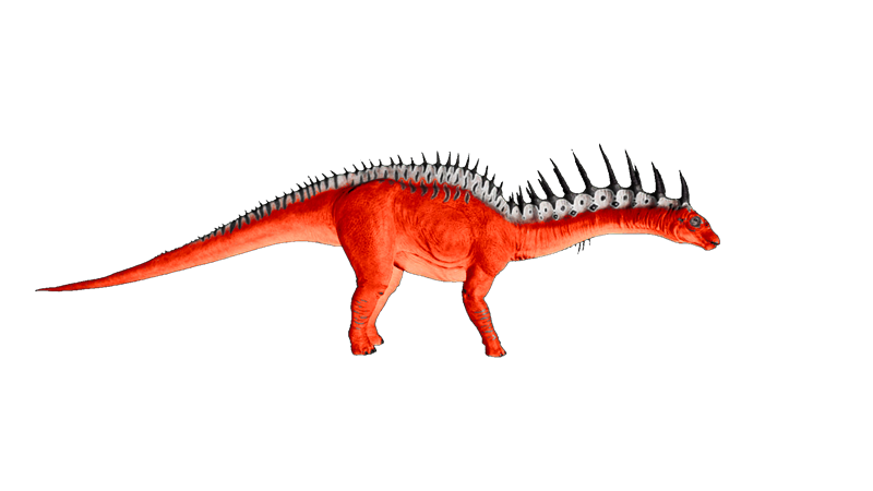 File:Amargasaurus PaintRegion0.png