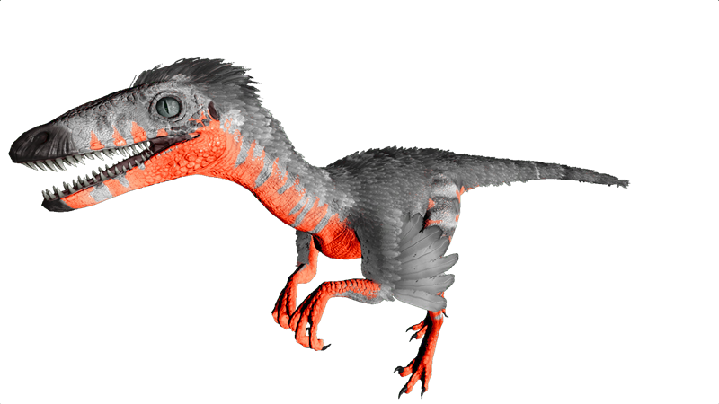 File:Troodon PaintRegion5.png