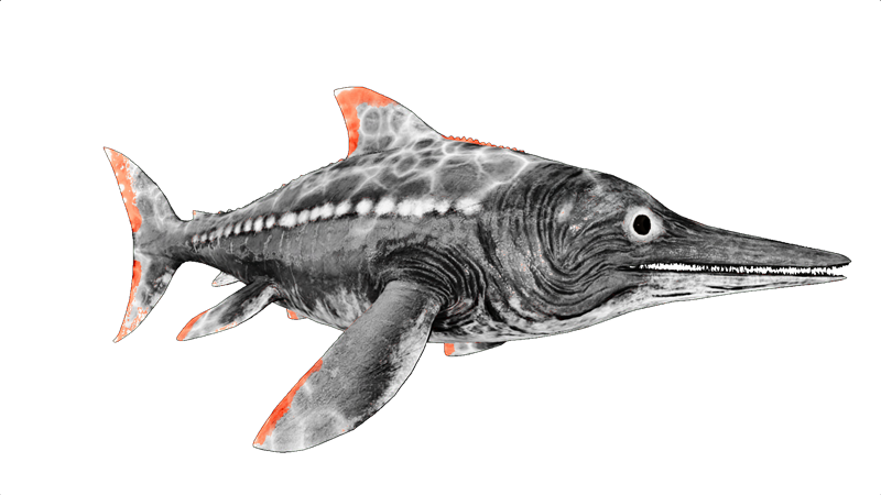 File:X-Ichthyosaurus PaintRegion3.png
