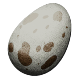 File:Dodo Egg.png