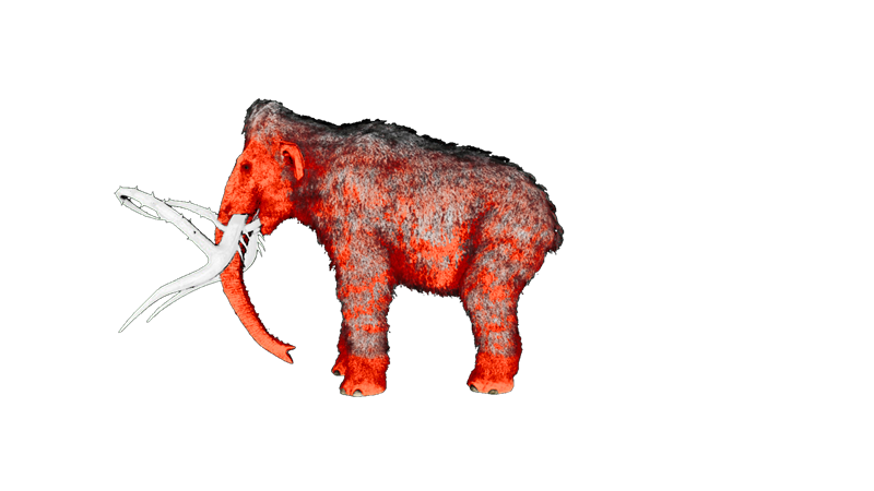 File:Mammoth PaintRegion0.png