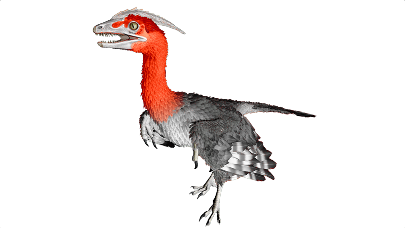 File:Microraptor PaintRegion4.png