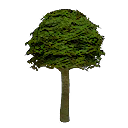 Garden Tree (Mobile).png