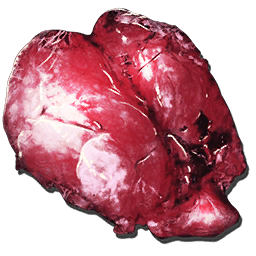 File:Yutyrannus Lungs.png