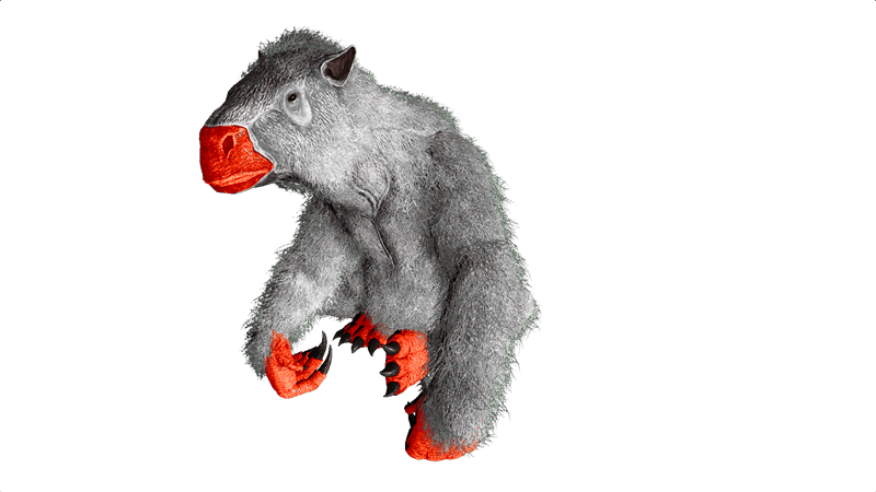 File:Megatherium PaintRegion5.png