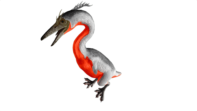 File:Hesperornis PaintRegion5.png