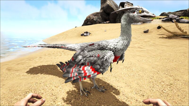 File:Microraptor PaintRegion5.jpg