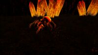 Cave- Grasslands Cave Gaia Fire Spider 1.jpg