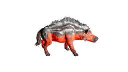 Andrewsarchus paintregion0.png