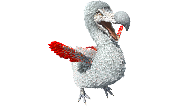 File:Dodo PaintRegion5 ASA.png