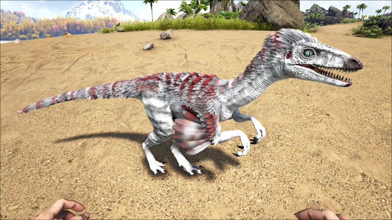 File:Troodon PaintRegion4.jpg