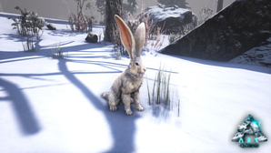 Mod Glacius Snow Hare image.png