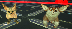 Comparison between a Jerboa and a small Ferox