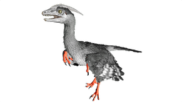 Microraptor PaintRegion2.png