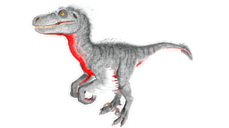 Alpha Raptor PaintRegion5.png