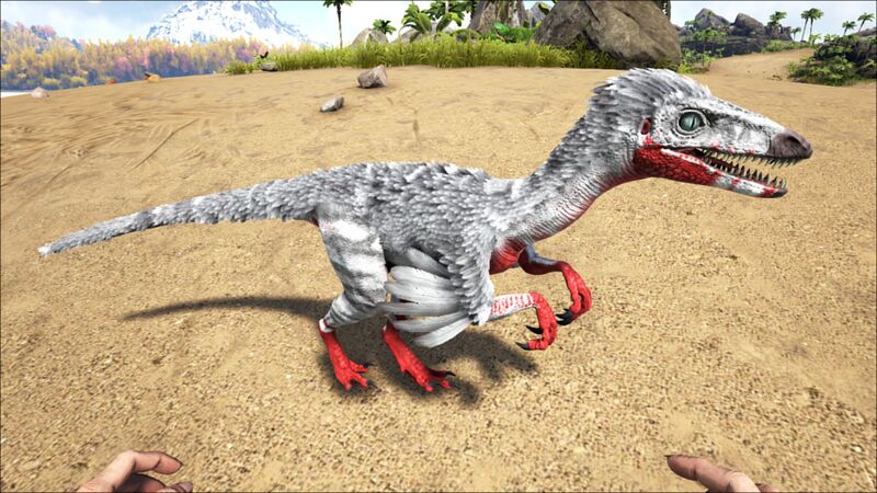 File:Troodon PaintRegion5.jpg