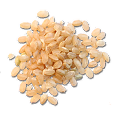 Dried Rice (Primitive Plus).png