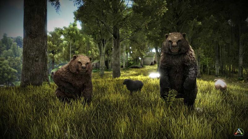 File:Wild Bears.jpg