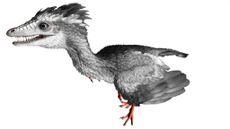 Archaeopteryx PaintRegion2.png