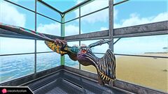 Chibi-Tropeognathus in game.jpg