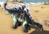 A Stegosaurus wearing the saddle