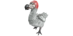 Dodo PaintRegion4.png