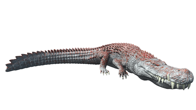 File:Mod AA Deinosuchus PaintRegion4 ASA.png