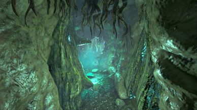 Darkwood Tunnel (Genesis Part 1).jpg