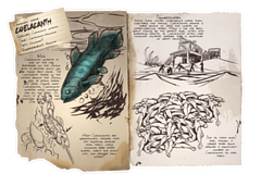Dossier Coelacanth.png