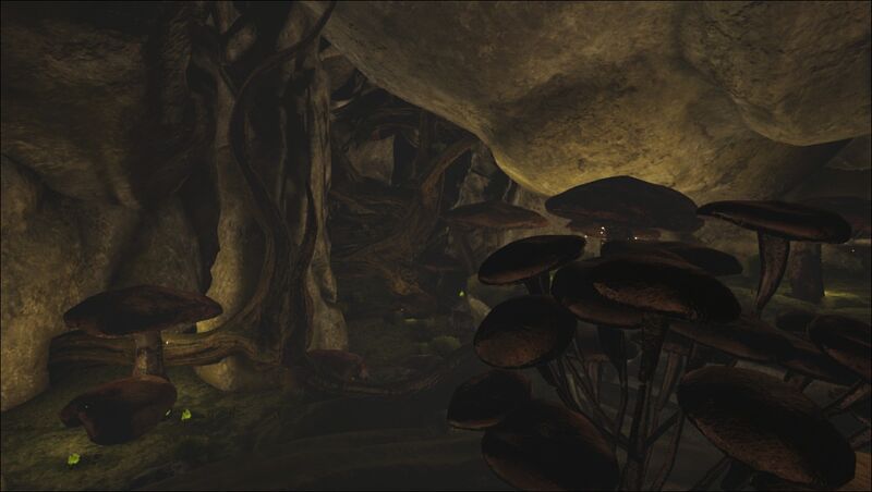File:Cave- Biolum Chamber second entrance.jpg