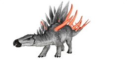 Kentrosaurus PaintRegion2.png