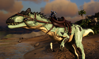 An Allosaurus wearing the saddle