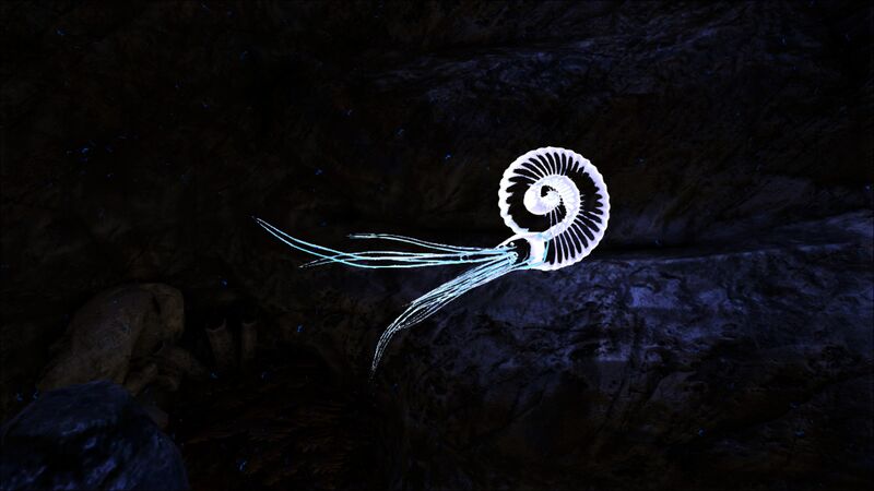 NU Ammonite Ghost.jpg