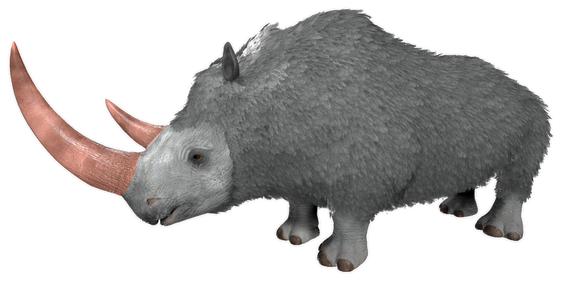 File:Woolly Rhino PaintRegion5.png