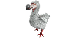 Dodo PaintRegion3.png