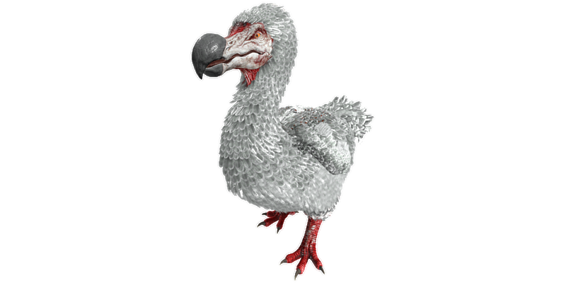 File:Dodo PaintRegion3.png